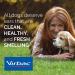 Virbac EPIOTIC Advanced Ear Cleanser 8 oz - Vet-Recommended for Dogs & Cats | Ear Cleaning & Grooming | No Sting Formula | Removes Debris & Wax | Package May Vary - Buy Online on GoSupps.com