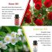 Yethious Rose & Jasmine Essential Oil Set - 2 Pack Organic Aromatherapy Oils for Diffuser, Perfume, Candle Making - 10ML Each - Buy Online on GoSupps.com