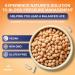 NoN-Gmo Nattokinase 2000FU | 180 days supply | Cardiovascular Support | Long term tested dosage 100mg contributing to blood circulation | FuelFinity Excellent Manufacturing Standards | Vegan (1 Pack) 180 count (Pack of 1) - Buy Online on GoSupps.com
