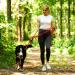 Vivaglory Traffic Handle Dog Leash - 1.5m Strong Reflective Leash with 2 Padded Handles & Metal Hook for Training - Red - Buy Online on GoSupps.com