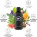 Bergbad Bio-Sauna Infusion 100ml - Organic Essential Oils with Swiss Pine & Eucalyptus | Natural Sauna Experience - Buy Online on GoSupps.com