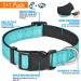 Ladoogo Reflective Dog Collar with Soft Neoprene Padding | Adjustable Nylon Collar for Small, Medium, Large Dogs | Breathable & Reflective | Blue | 1 Pack - Buy Online on GoSupps.com