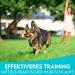 Dog is K nig Feed Bag - Dummy for Dog Training | All Breeds | Includes Training Book & Treats - Buy Online on GoSupps.com