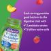 Vitafusion Probiotic Adult Gummies 2 Probiotic Strains & D3 Adult Vitamin Gummies 1000 IU Vitamin D3 Daily Dose Supports Bones & Teeth* 150 Count 5 Month Supply Packaging May Vary Gummies + 1000 IU Vitamin D3 - Buy Online on GoSupps.com