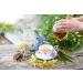  SonnenMoor SonnenMoor LUMI respiratory tea - bulk herbal tea mix 50g - Buy Online on GoSupps.com