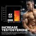 MuscleTech AlphaTest Thermo XTR - Top Thermogenic Testosterone Booster for Men | 90 Capsules | Muscle & Strength Builder | Enhance Your Workout Performance - Buy Online on GoSupps.com