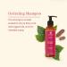 Buy Ayurvedic Hydrating Shampoo - Strengthens Hair Follicles Moisturizes & Nourishes with Brahmi Shikakai & Hibiscus - 200 ML for Damaged Dry & Frizzy Hair - International Shipping Available - Buy Online on GoSupps.com