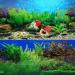 ELEBOX New 20" x 48" Fish Tank Background 2 Sided River Bed & Lake Background Aquarium H:19.5"x L:48" A