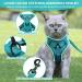 Adjustable Cat Dishes Set | Blue Lake - M | Perfect for Cats Kittens Dogs & Puppies | International Shipping - Buy Online on GoSupps.com