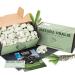 Argile Verte de l'Oural | 1000g Argile Verte Naturelle Vert Pastel Verdoyant - Croquant Etonnant Texture Terreuse Velout e et Ferme Satisfaisante Sensation ASMR - Buy Online on GoSupps.com