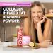 Obvi Collagenic Burn Powder | Multi-Collagen Peptide Blend with GBB Ashwagandha & Green Coffee | Pineapple Coconut 25 Servings - Buy Online on GoSupps.com