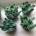 Green Crystal Stone Cluster Crystals Quartz Beautiful Irregular Home Charm Decoration Specimen Therapy Yoga Balance Crystal Cluster (Color : Green Size : 600-700g) 600-700g Green - Buy Online on GoSupps.com