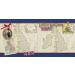 UK NPM Premade Scrapbook Pages | EZ Layout 6249 - Shop Now! - Buy Online on GoSupps.com