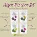 Organic Algae Flakes Set - Dulse Nori Wakame | Raw Vegan Seaweed for Salad Sushi Dashi & Snacks | Pureeraw 95g - Buy Online on GoSupps.com