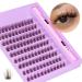 DIY Lash Extension Kit Cluster Lashes Kit Strong Hold Lash Bond and Seal Cluster Lashes Natural Look Eyelash Extension 10-16MM Individual Lashes Fluffy Wispy D Curl by ALICE F13