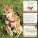 500ml Dog Drinking Bottle - Foldable Water Bottle for Pets | Portable Water Bowl on the Go - Buy Online on GoSupps.com