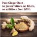 The Spice Way Ginger Powder (8 oz) - Pure Ground Ginger Root for Cooking and Baking - Buy Online on GoSupps.com
