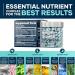 LILYMOON Height Growth Maximizer for Kids and Teens to Grow Taller Naturally - 60 Capsules - Buy Online on GoSupps.com