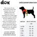 DDOXX Reflecting Airmesh Step-in Dog Harness - Adjustable Puppy Harness for All Sizes - L (Orange) - Breast Size 43-48 cm - Buy Online on GoSupps.com