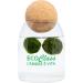 2 selected Marimo 2-4 cm in Feng Shui pot 500 ml with cork stopper for yoga massage