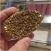 100g Natural Electroplating Gold Crystal Cluster Titanium Geode Cluster DIY Bare Stone Materials Jewelry Making 1pc Decoration 70-100g - Buy Online on GoSupps.com