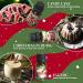 SALKING Christmas Fragrance Oils Gift Set - Perfect Scents for Soaps, Candles, and Diffusers - Buy Online on GoSupps.com