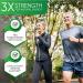 Built by Nature Green Tea Extract Supplement - 60 Capsules - Antioxidant Support - 60 Count - Buy Online on GoSupps.com