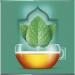 Nescaf Dolce Gusto Marrakech Tea 16 capsules - Buy Online on GoSupps.com