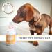 Pets Purest Scottish Salmon Oil - 2 x 300ml Omega 3, 6 & 9 Fish Oil Topper for Pets | Natural Coat & Immune Support, Itchy Skin Relief, Joint & Brain Health - Buy Online on GoSupps.com