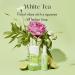 Curie Aluminum Free Deodorant - White Tea 2oz Stick | Natural Paraben Free Cruelty Free Non-Toxic Deodorant for All Skin Types - Buy Online on GoSupps.com