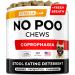 STRELLALAB No Poo Chews for Dogs - Coprophagia Stool Eating Deterrent - No Poop Eating for Dogs - Digestive Enzymes - Gut Health & Immune Support - Stop Eating Poop - Chicken Liver Flavor 120Chews Chicken Liver 120Ct No Poo Chews