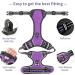 Shop Heele No-Pull Dog Harness & Crockery - Medium-Sized Breathable Adjustable Reflective Padded Handle - Purple - International Shipping Available - Buy Online on GoSupps.com