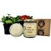 Thanks for All The Orgasms - Hand Poured Scented Candle Naughty Funny Unusual Quirky Birthday Anniversary Couples Gift for Him & Her (Chocolate Truffle & Posh Honey) - Buy Online on GoSupps.com