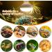 MIXJOY 2 Pack Reptile Heat Lamp 100W UVA Daylight Basking Spot Light Amphibians Basking Bulbs Heat Lamps Heat Lamp Bulbs for Reptiles Lizard Tortoise Bearded Dragon - Buy Online on GoSupps.com