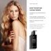 pH Labs Deep Moisture Shampoo & Conditioner Set - Hydrating Nourishing Formula for Dry Hair - Kokum Nut Butter & Rose Extract - 8.45 oz Each - Buy Online on GoSupps.com