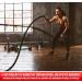 Predator labs - Light Phoenix 30 Servings - Low boost fat burner that contains natural and effective ingredients to help you achieve your goals boosts fat burning regulates sugar levels improves release Formulated with a natural nootropic to improve cogni - Buy Online on GoSupps.com