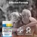Vit Direct - Glucosamine Calcium & Chondroitin (with MSM Complex) - 120 Triple Action Capsules - Joint Care Supplement - Supports Joint Health - Designed to Reduce Joint Pain - Buy Online on GoSupps.com