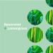 Everyone Spearmint & Lemongrass Liquid Hand Soap 12.75 oz (Pack of 3) | Plant-Based Cleanser with Essential Oils - Buy Online on GoSupps.com