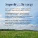 BioPure Deep Purple All-Natural Superfruit Dietary Supplement - 100g - Buy Online on GoSupps.com