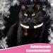Tonyg-P Reflective Cat Neck Bands - 12 Adjustable Pieces with Bells & Safety Closure (19-32cm) - Perfect for All Domestic Cats - Buy Online on GoSupps.com