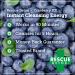 Ice Detox Rescue 32 oz Blueberry - Fast-Acting Detox Formula - Buy Online on GoSupps.com