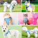 GOTRUST Cat Harness and Lead Set Breathable Mesh Kitten Harness Adjustable Escape-Proof Cat Vest with Leash Reflective Pet Harness for Small Animals Rabbit Cats Puppy - Blue - Buy Online on GoSupps.com