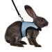Niteangel Adjustable Soft Harness with Elastic Leash for Rabbit (M Blue) Medium Blue