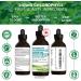 Liquid Chlorophyll Drops Unflavoured 15X Concentrated 100ml Cold Extracted from Non-GMO Alfalfa - Detox - Alkaline - Natural Body Deodorant Antioxidant - Made in Canada - Buy Online on GoSupps.com