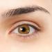 Seville VIP honey contact lenses Super natural design with ring i annual lenses colored without strength (2 lenses) + contact lens container tweezers and onset with soft silicone