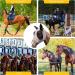 Horse Mask Fly Mask with Ears for Protecting from UV and Fly Comfortable & Stretchable Suitable for Most Large Horses - Buy Online on GoSupps.com