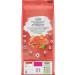 Beyond Simply Natural Dry Cat Food Salmon & Whole Brown Rice - 2.72 kg Bag 2.72 kg (Pack of 1) - Buy Online on GoSupps.com