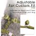 ThinkPet No-Pull Dog Harness & Leash Set - Breathable Adjustable Safety Harness for Small Medium Large Dogs - Camouflage Green - Buy Online on GoSupps.com
