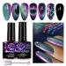 YEPYEPGO Cat Eye Gel Nail Polish  Upgrade 9D Cat Eye Gel Nail Polish with Black Color Gel  High Pigment Double Colors Magnetic Gel Galaxy Chameleon Effect Professional Use for Salon-A X9D-A
