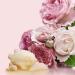 Love Beauty and Planet Bountiful Moisture Body Wash - Murumuru Butter & Rose 16 fl oz - Buy Online on GoSupps.com